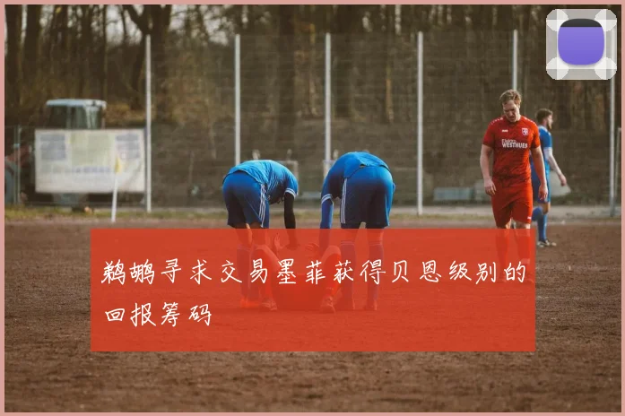 鹈鹕寻求交易墨菲获得贝恩级别的回报筹码