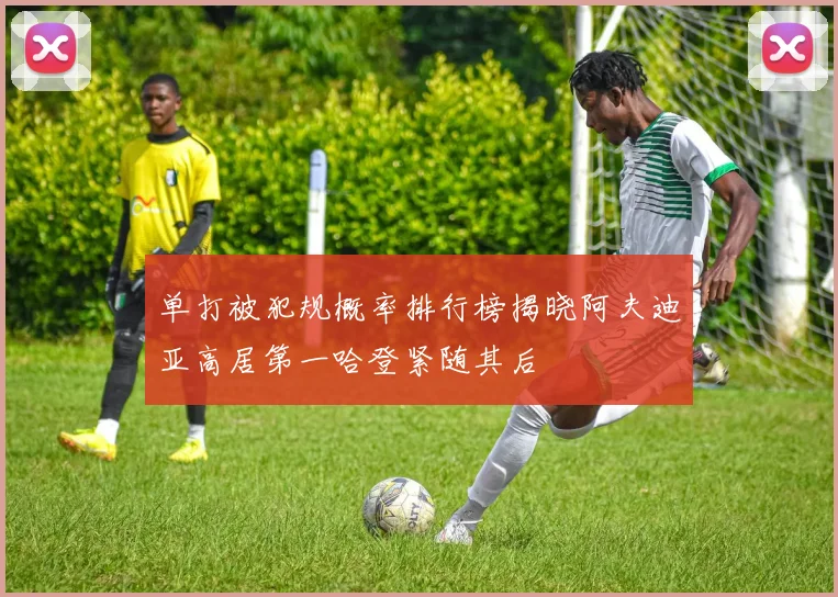 单打被犯规概率排行榜揭晓阿夫迪亚高居第一哈登紧随其后
