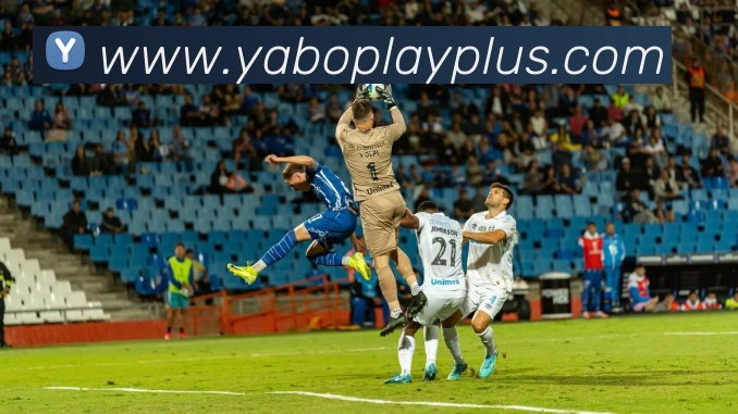 亚博体育APP 封面图